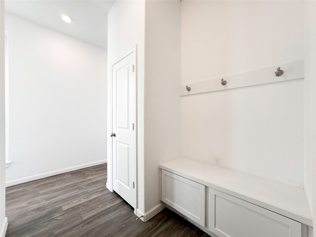 mudroom featuring dark hardwood / wood-style flooring