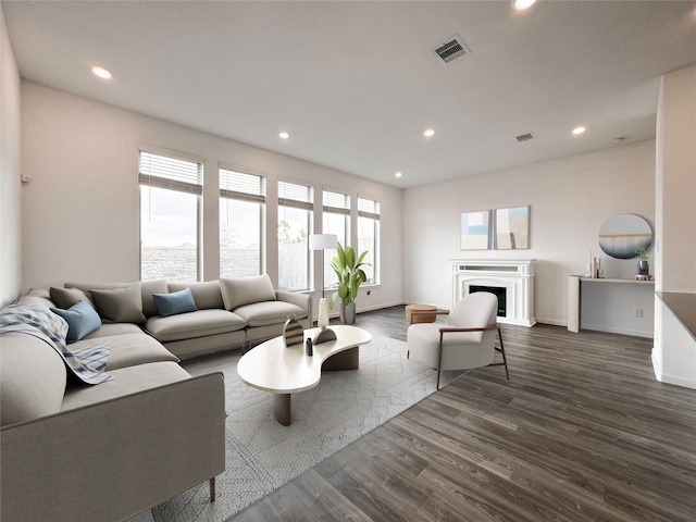 living room with dark hardwood / wood-style flooring