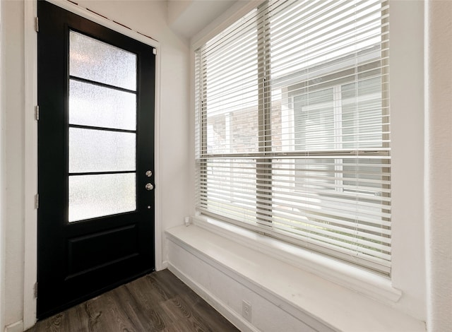 entrance foyer with dark hardwood / wood-style floors