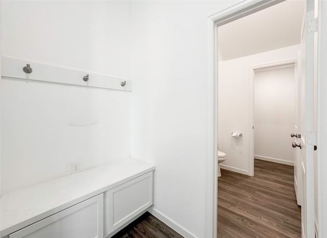 bathroom with hardwood / wood-style flooring and toilet