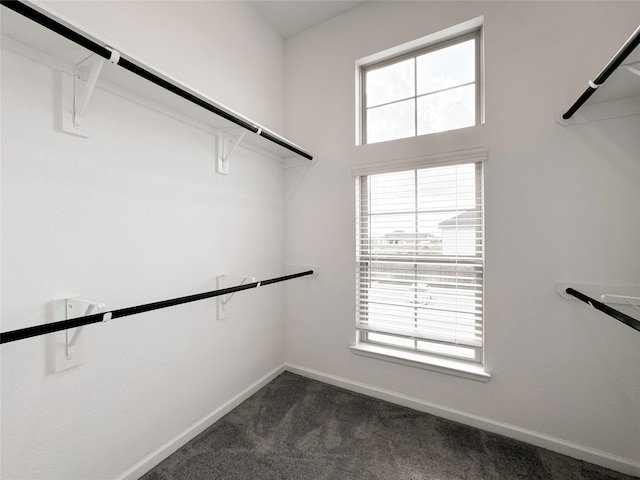 spacious closet featuring dark carpet