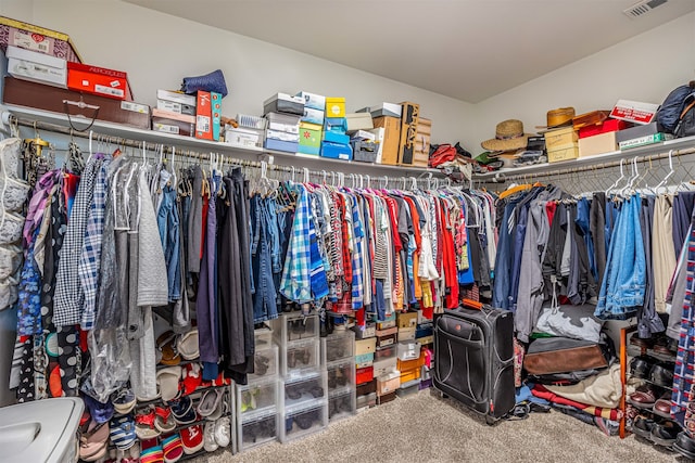 walk in closet featuring carpet floors