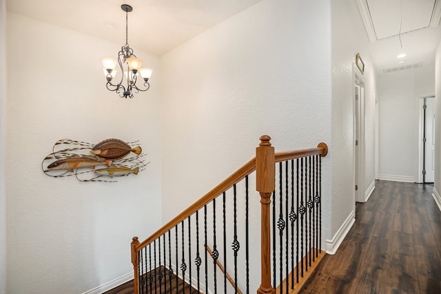 corridor with a chandelier and dark hardwood / wood-style floors