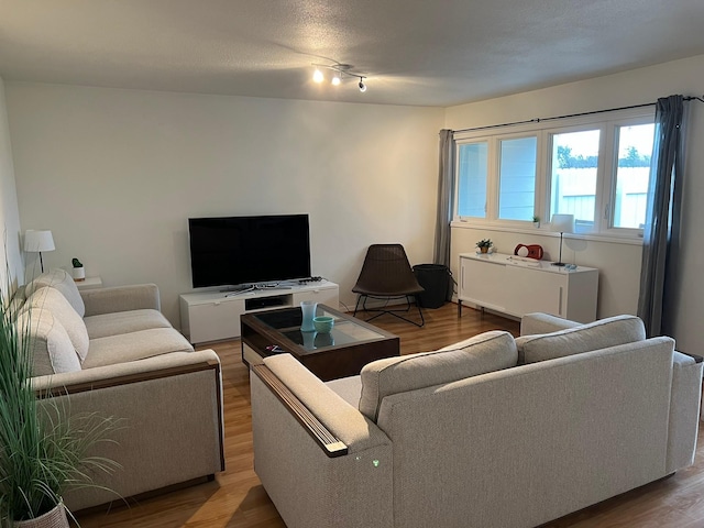 living room with wood-type flooring and rail lighting