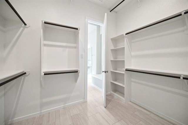 view of spacious closet