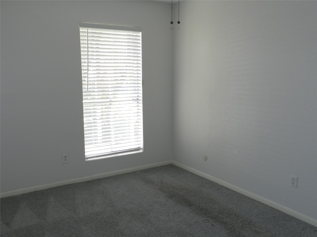 spare room featuring a wealth of natural light and carpet floors