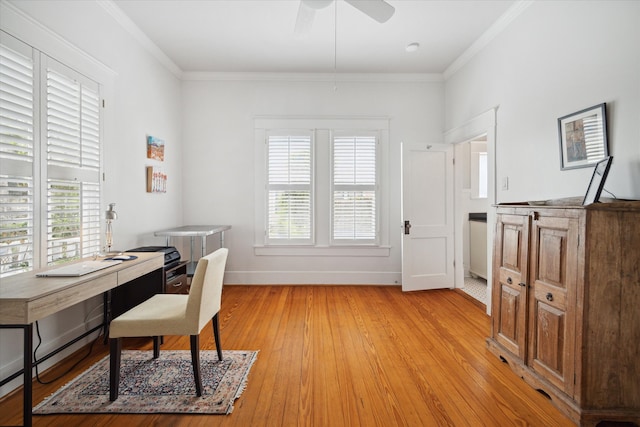 office featuring ceiling fan, light wood-type flooring, and crown molding