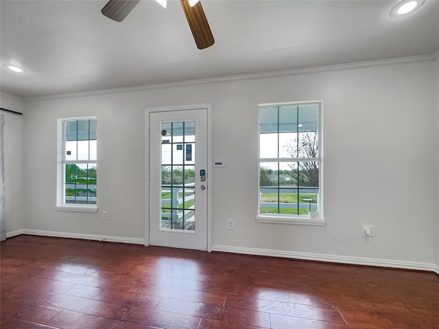 entryway featuring ceiling fan, dark hardwood / wood-style flooring, and ornamental molding