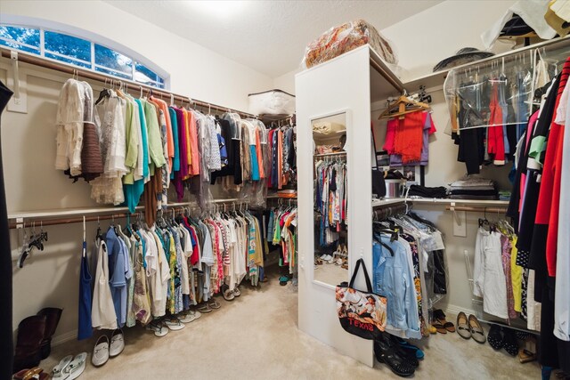 walk in closet featuring carpet