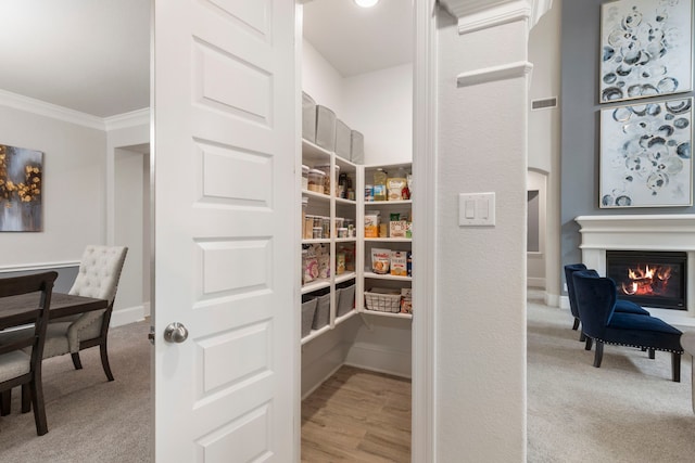 view of pantry