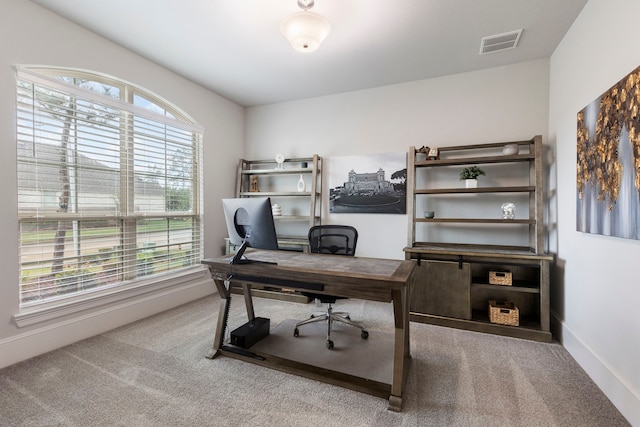 carpeted office featuring a wealth of natural light