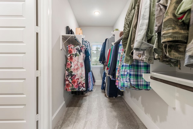 walk in closet with carpet