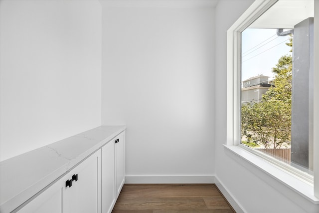 interior space featuring dark wood-type flooring