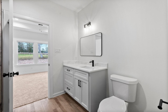 bathroom with wood-type flooring, vanity, and toilet