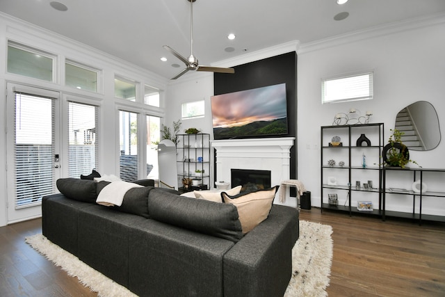 living room featuring dark wood-type flooring, a towering ceiling, ceiling fan, and crown molding