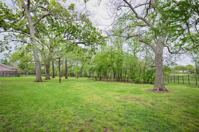 66 Bees Creek Rd, Missouri City, TX 77459 - view of yard