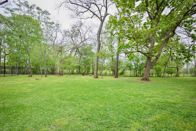 view of yard