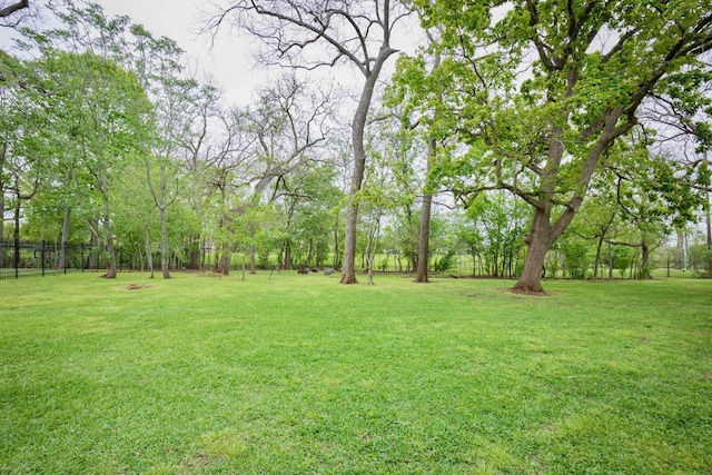 66 Bees Creek Rd, Missouri City, TX 77459 - view of yard