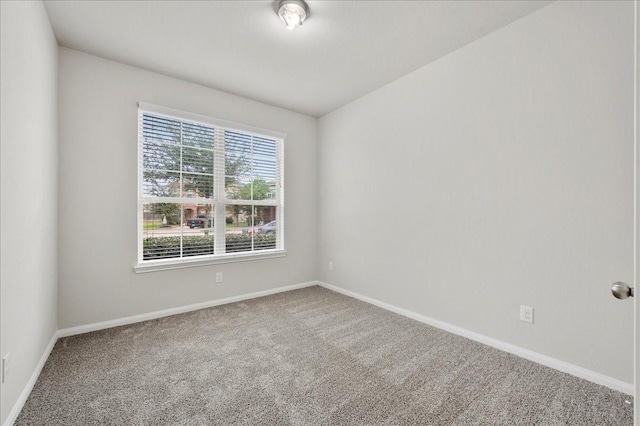 spare room with carpet floors