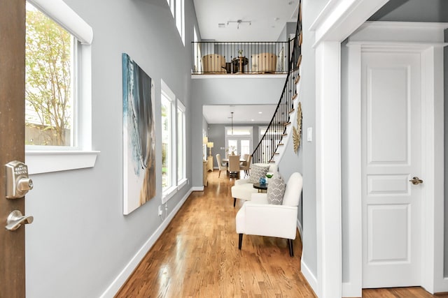 interior space with rail lighting, a healthy amount of sunlight, and light hardwood / wood-style floors