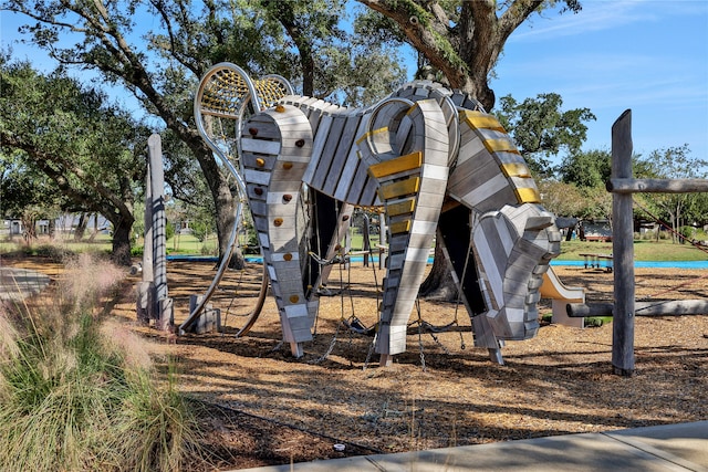 view of jungle gym