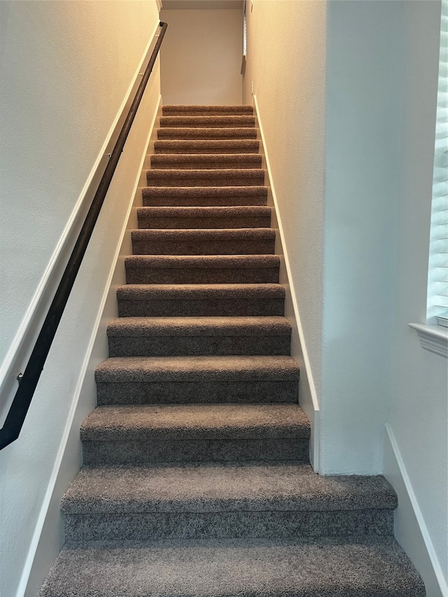 staircase featuring carpet floors