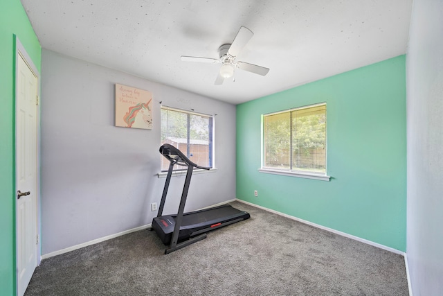 exercise room with ceiling fan and carpet floors