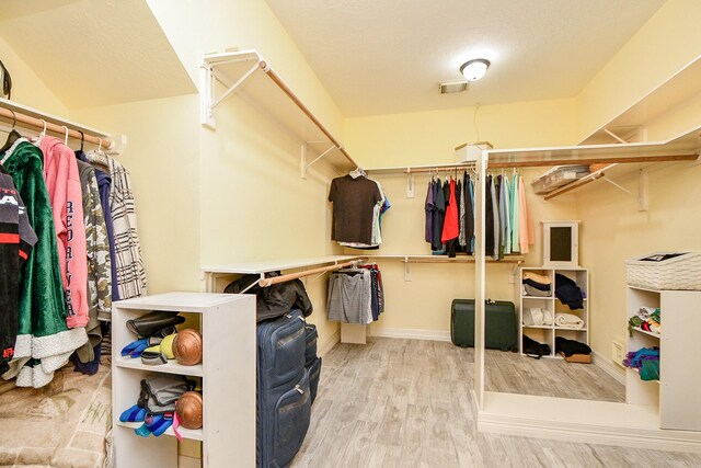 spacious closet with light wood-type flooring