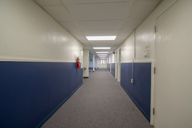 hall featuring a paneled ceiling and carpet floors