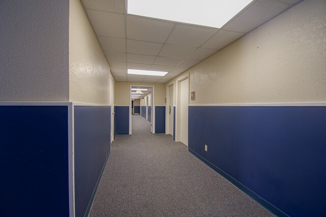 hall with a paneled ceiling and carpet flooring