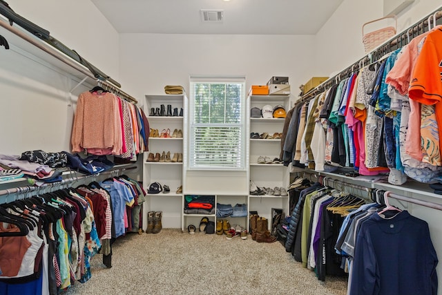 spacious closet with carpet flooring