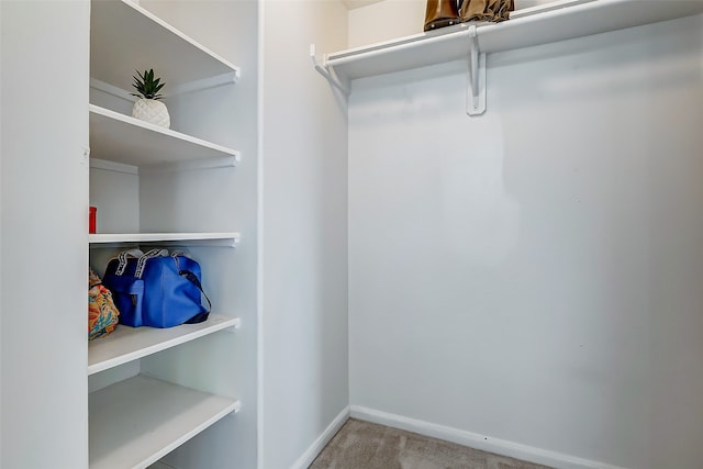 spacious closet featuring carpet