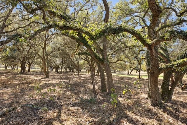 000 Koeppens Trl, Cat Spring, TX 78933