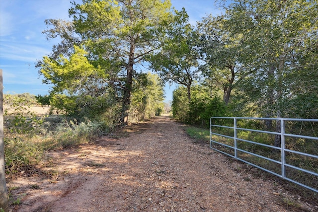 Listing photo 2 for 000 Koeppens Trl, Cat Spring TX 78933