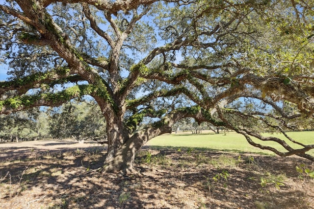 000 Koeppens Trl, Cat Spring, TX 78933