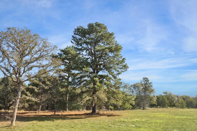 000 Koeppens Trl, Cat Spring, TX 78933
