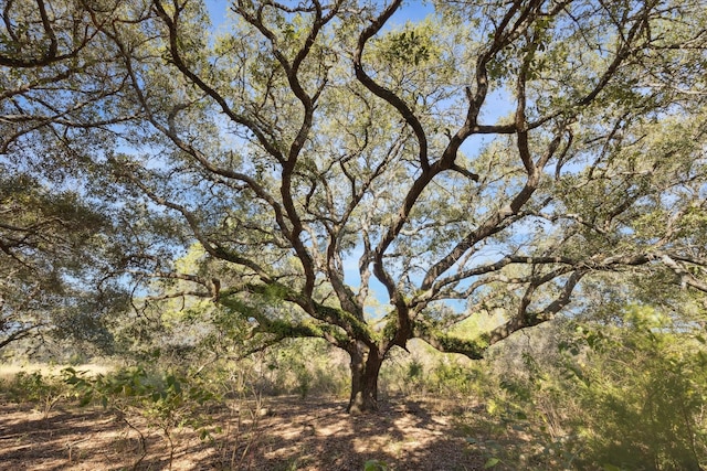 000 Koeppens Trl, Cat Spring, TX 78933