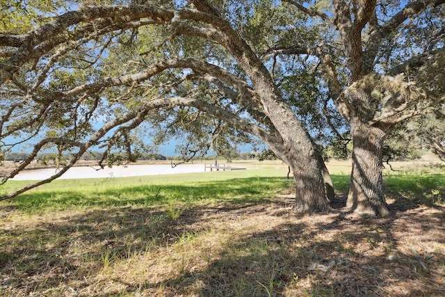000 Koeppens Trl, Cat Spring, TX 78933