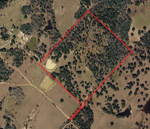 000 Koeppens Trl, Cat Spring, TX 78933