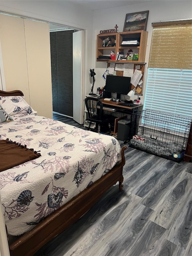 bedroom with a closet and wood-type flooring