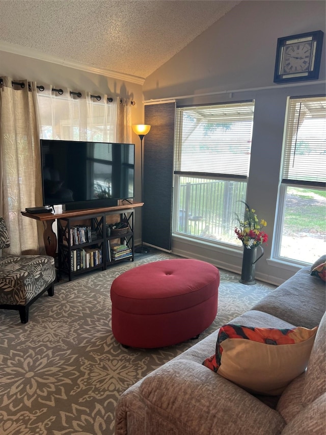 carpeted living room with a healthy amount of sunlight, a textured ceiling, and lofted ceiling