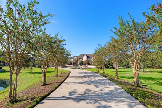 4 Steven Luke Ln, Friendswood, TX 77546 - view of community featuring a yard