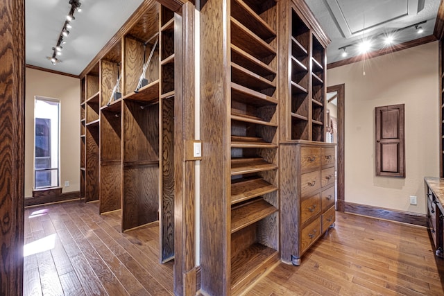 spacious closet with dark hardwood / wood-style floors