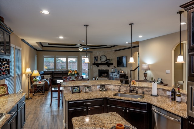 kitchen with dark wood-type flooring, stainless steel dishwasher, hanging light fixtures, and a fireplace