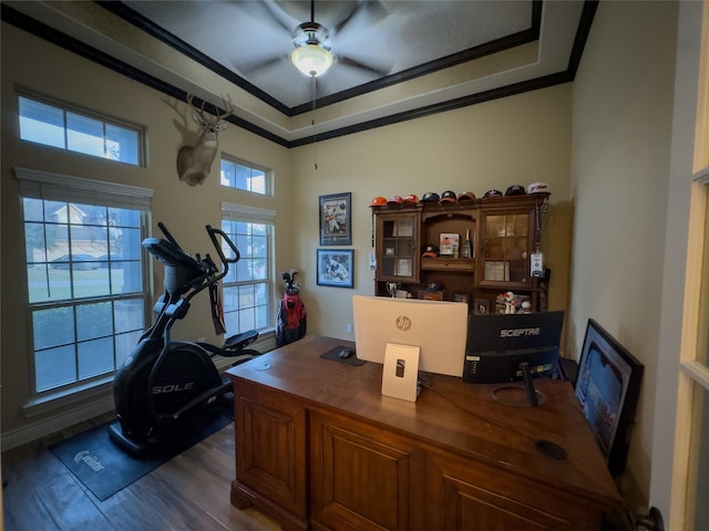 office space featuring dark wood-type flooring, ceiling fan, a raised ceiling, and ornamental molding