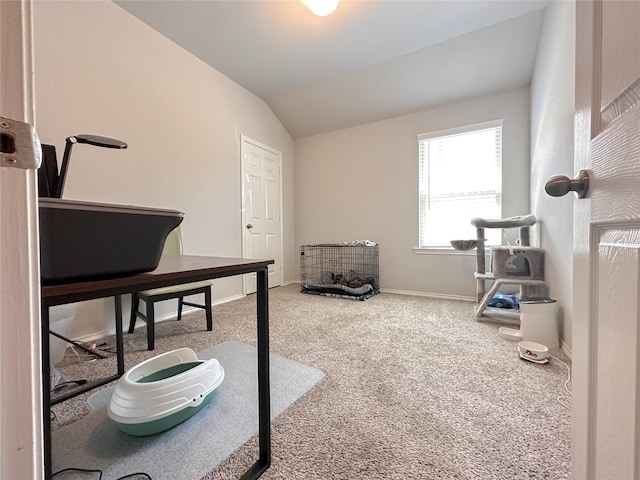 carpeted office space with vaulted ceiling