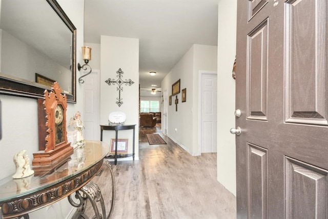 foyer with ceiling fan and light hardwood / wood-style floors