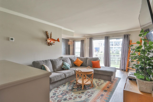 living room with hardwood / wood-style floors and ornamental molding