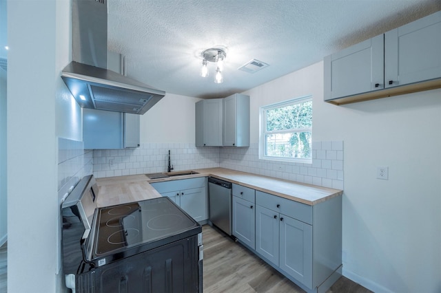 kitchen with ventilation hood, sink, stainless steel appliances, and wooden counters