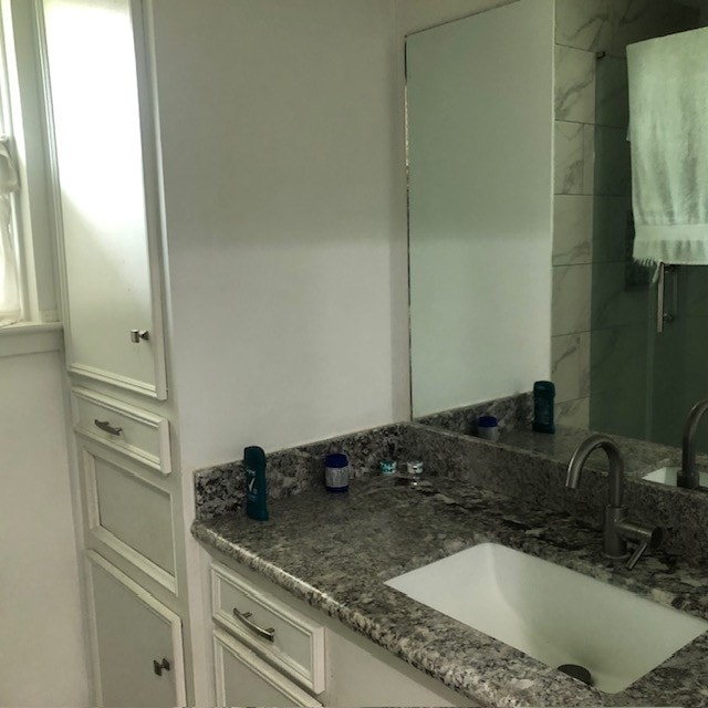 bathroom with vanity and a healthy amount of sunlight